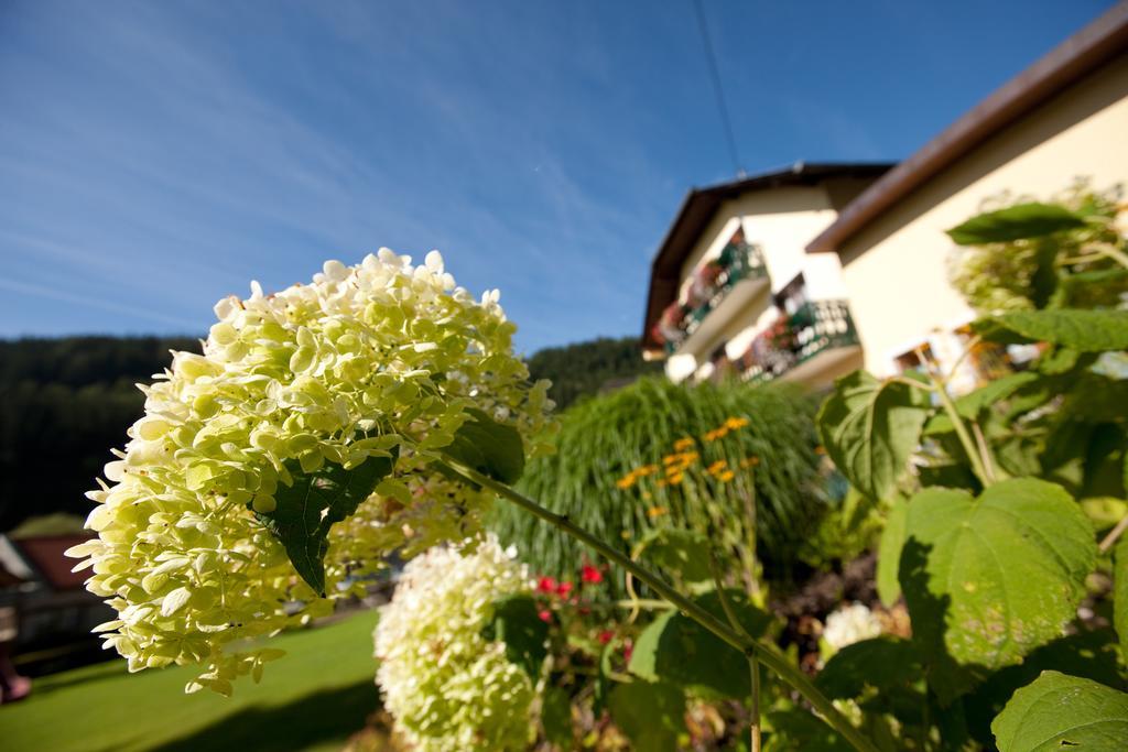 Monichwald Hotel Moenichwalderhof מראה חיצוני תמונה